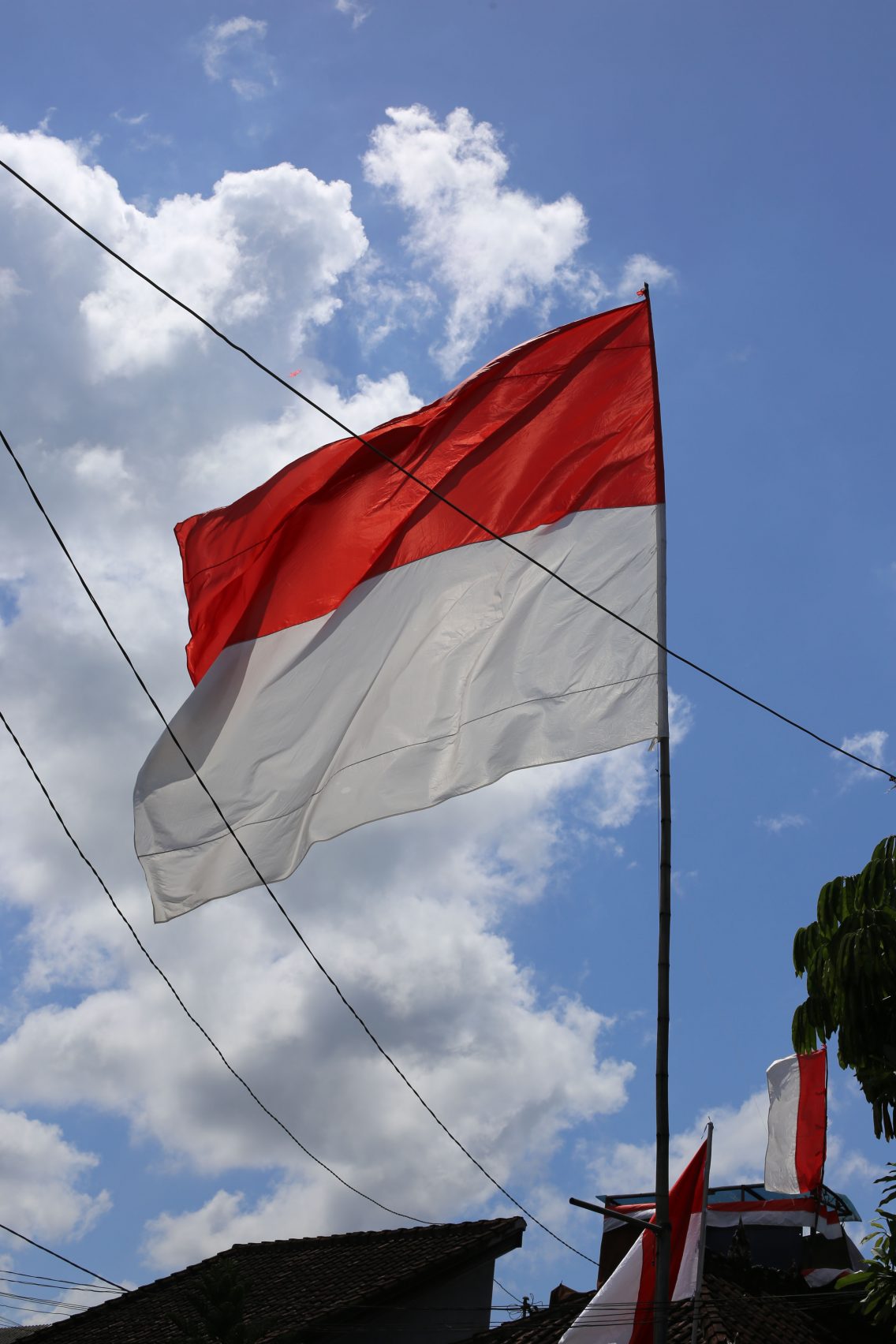 The Indonesian flag